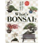 What’s BONSAI? 英語で伝える盆栽の魅力