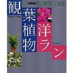 観葉植物洋ラン