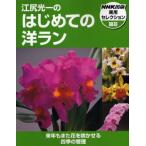 江尻光一のはじめての洋ラン