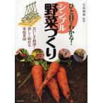 ひと目でわかる!シンプル野菜づくり おいしさ格別!楽しく始める家庭菜園