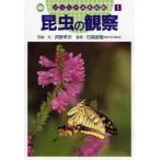 昆虫の観察