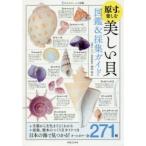 原寸で楽しむ美しい貝図鑑＆採集ガイド