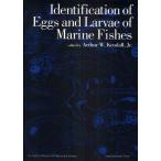 IDENTIFICATION OF EGGS AND LARVAE OF MARINE FISHES