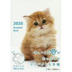 2020年版 Schedule Book CAT
