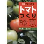 図解でよくわかるトマトつくり極意 作業の基本とコツ