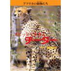 アフリカの動物たち 2