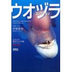 ウオヅラコレクション