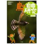 鳥の自由研究 3