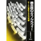 Yahoo! Yahoo!ショッピング(ヤフー ショッピング)暴走族のエスノグラフィー モードの叛乱と文化の呪縛