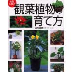 失敗しない観葉植物の育て方