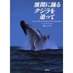 波間に踊るクジラを追って