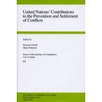 United Nations’ contributions to the prevention and settlement of conflicts