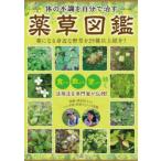 -体の不調を自分で治す-薬草図鑑 薬になる身近な野草を25種以上紹介!