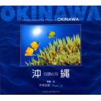 沖縄 奇跡の海 Miracle under the waves in Okinawa