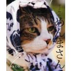 でぶねこめんまさん