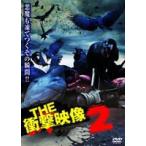 THE 衝撃映像 2 [DVD]