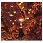 デイヴ・スチュワート＆バーバラ・ガスキン / ビッグ・アイデア・スペシャル・エディション（SHM-CD） [CD]