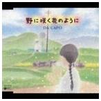 da* машина po/.... цветок такой как [CD]