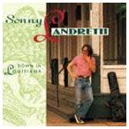  Sunny * Ran платье / down * in * Louis ji дыра (. день память запись |Blu-specCD) [CD]