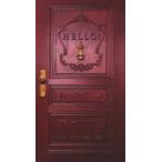 真夜中にハロー!（完全生産限定盤） [B