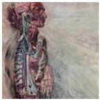 Fear ＆ The Nervous System / FEAR AND THE NERVOUS SYSTEM [CD]