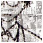 TVアニメ げんしけん くじびきアンバランス ベストアルバム Songs for Young ＆ Silly age [CD]