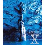 X／VISUAL SHOCK Vol.3.5 Say Anything X BALLAD COLLECTION [Blu-ray]