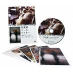 写真家ソール・ライター 急がない人生で見つけた13のこと [DVD]