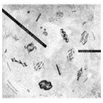  планета. ...../ separate [CD]