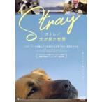 s tray собака . видел мир [DVD]