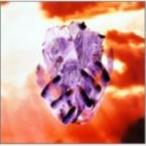 LUNA SEA／Sin After Sin [DVD]