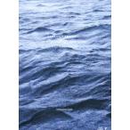 サカナクション／SAKANAQUARIUM2017 10th ANNIVERSARY Arena Session 6.1ch Sound Around（通常盤） [Blu-ray]