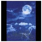 及川光博 / ツキノヒカリ MEMORIAL BOX（期間限定／CD＋DVD） [CD]