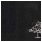 jaz’presso / .jp [CD]