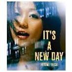 矢井田瞳 / IT’S A NEW DA