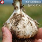 生にんにく 採れたて予約  M玉 1kg 青森県産 新物 令和元年度産 約15玉 生にんにく 青森 幻の 生にんにく 青森産