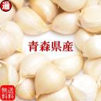 新物予約 早割 にんにく バラ 500g 皮剥げも有り 生産者直送 送料無料 にんにく 500g にんにく 青森 にんにく青森県産 ニンニク 青森にんにく 津軽にんにく