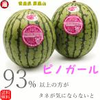 [ новый предмет предварительный заказ ] Pinot девушка 2 шар ... бесплатная доставка ( маленький шар 1.5~2.0kg×2)matsuko. .. нет мир ...si Aomori префектура иметь машина удобрение культивирование арбуз запад .