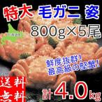  четырёхугольный волосатый краб очень большой шерсть .4kg (800g×5 хвост ) комплект Hokkaido производство mega пик еда ... подарок Boyle рефрижератор . тест .... ваш заказ гурман 