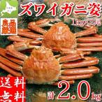 ズワイガニ 姿 特大 ボイル 2kg (1kg×2尾) ずわい蟹 冷凍 ギフト かに 北海道加工 カニ味噌 堅ガニ