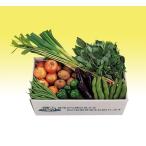  Chiba префектура производство .. .. длина свежий овощи комплект 