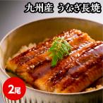 九州産　うなぎ長焼　うなぎ 鰻 ウ