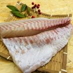 真鯛お刺身柵2パック冷凍鹿児島百年...