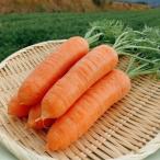 . покупка .. блок производство морковь 2kg Кагосима префектура производство человек Gin морковь овощи . данный земля гурман подарок большая вместимость специальный продукт еда пищевые ингредиенты 