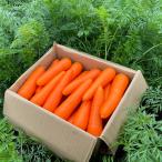 .. блок производство морковь 10kg Кагосима префектура производство человек Gin морковь овощи . данный земля гурман подарок большая вместимость специальный продукт еда пищевые ингредиенты 