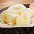 ショッピング文旦 鹿児島 サワーポメロ 8kg 混合 16玉〜26玉入り いちき串木野 みかん ミカン 美柑 柑橘 文旦