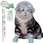 кошка для маска намордник foot с чехлом прозрачный домашнее животное маска космос headgear намордник "дышит" кошка ветеринарный воротник вентиляция кошка .. кусачки для ногтей инструмент для оказания помощи уголок уборка автомобиль 
