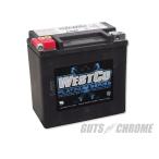 ショッピングCHROME 9800-4000 ハーレー用 ウエストコAGMバッテリー 02-06年 V-ROD用 OEM 65948-00