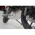 SW-MOTECH | Engine guard. Silver. Ducati Multistrada V 4 (20-). | MSS.22.822.10000/S