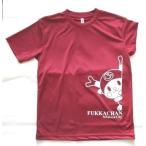 �����s�V���c�@�o�[�K���e�B�@�Ђ������ӂ��������